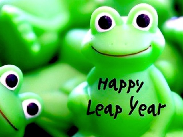 image of a toy frog with the words happy leap year written on it